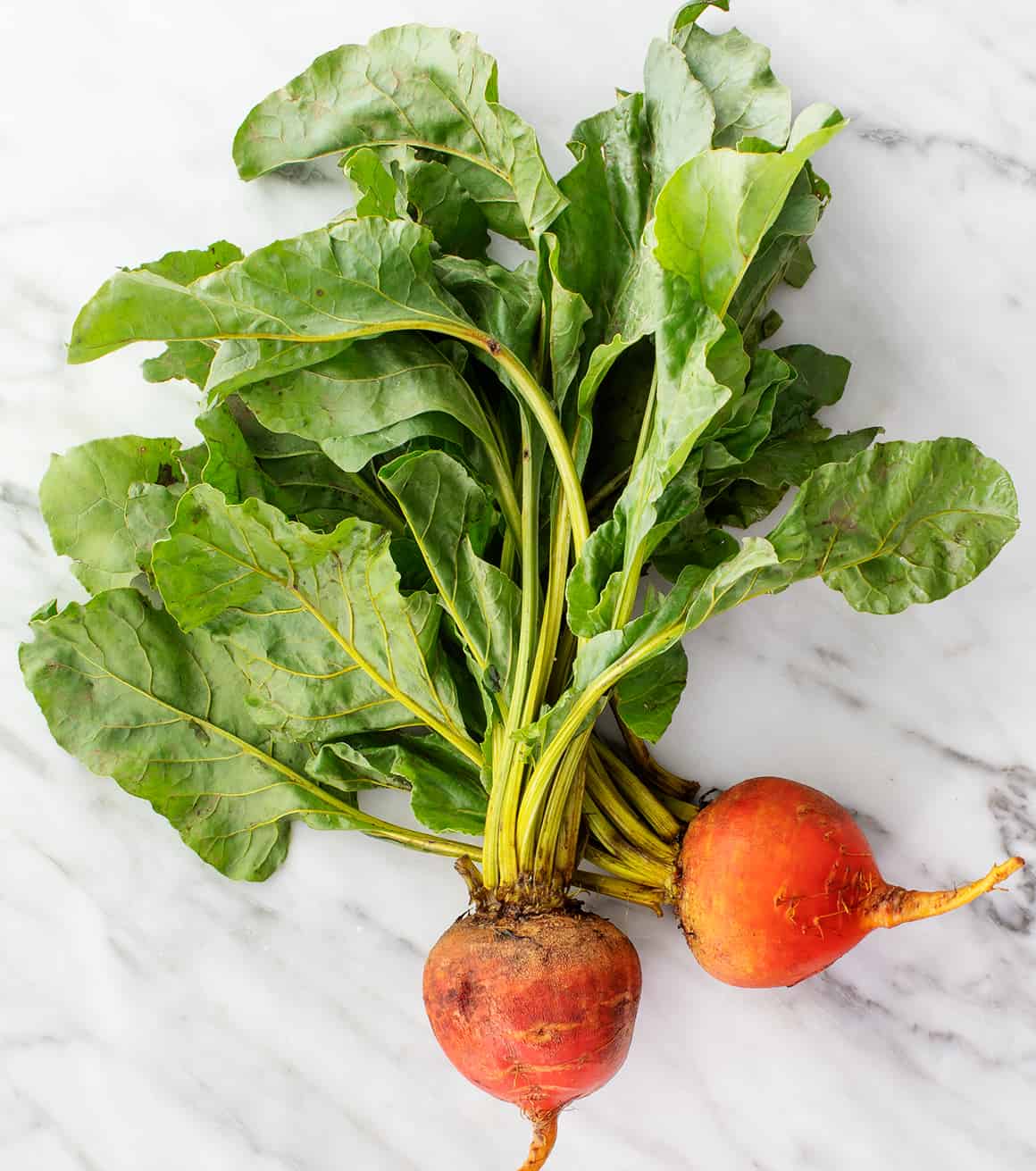 golden beets and beet greens